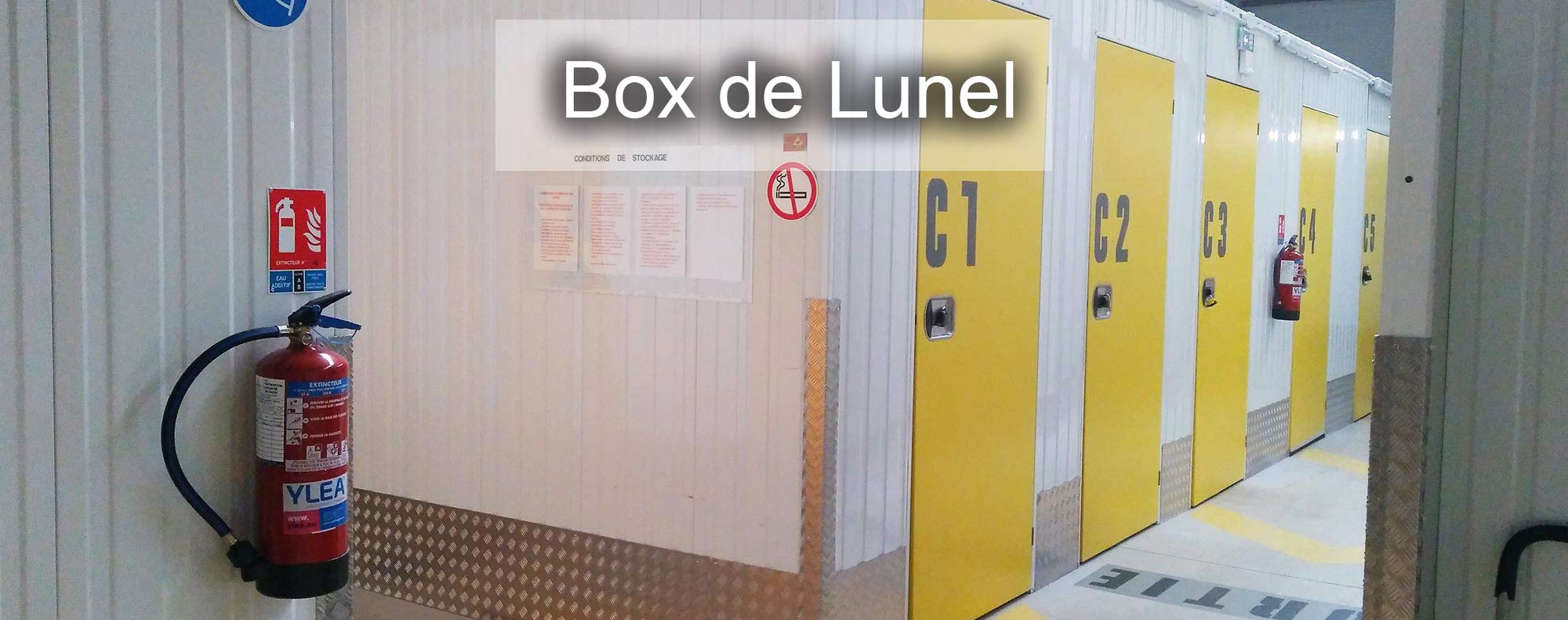 In the box