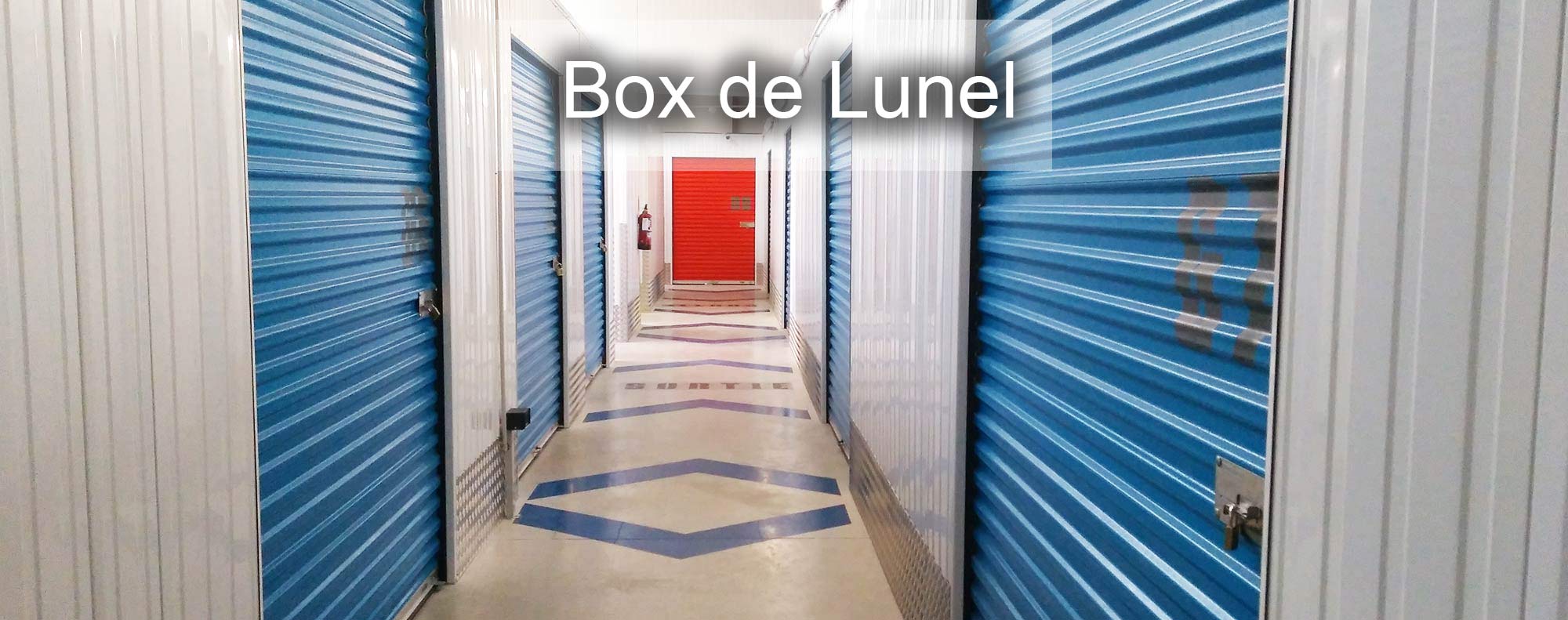 In the box