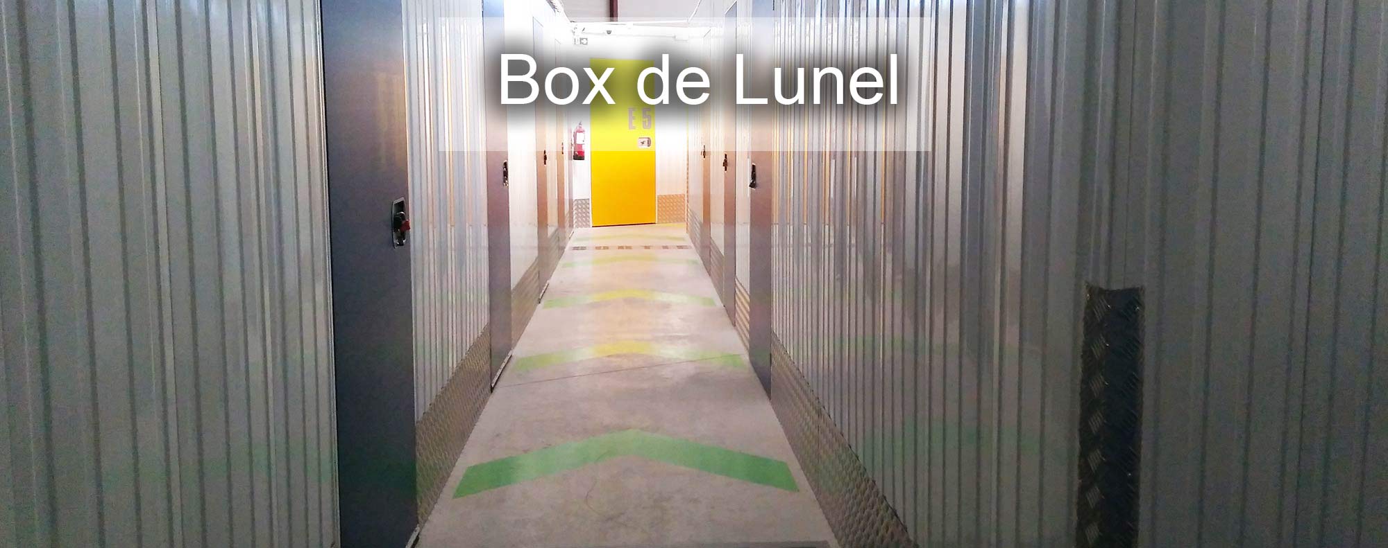 In the box