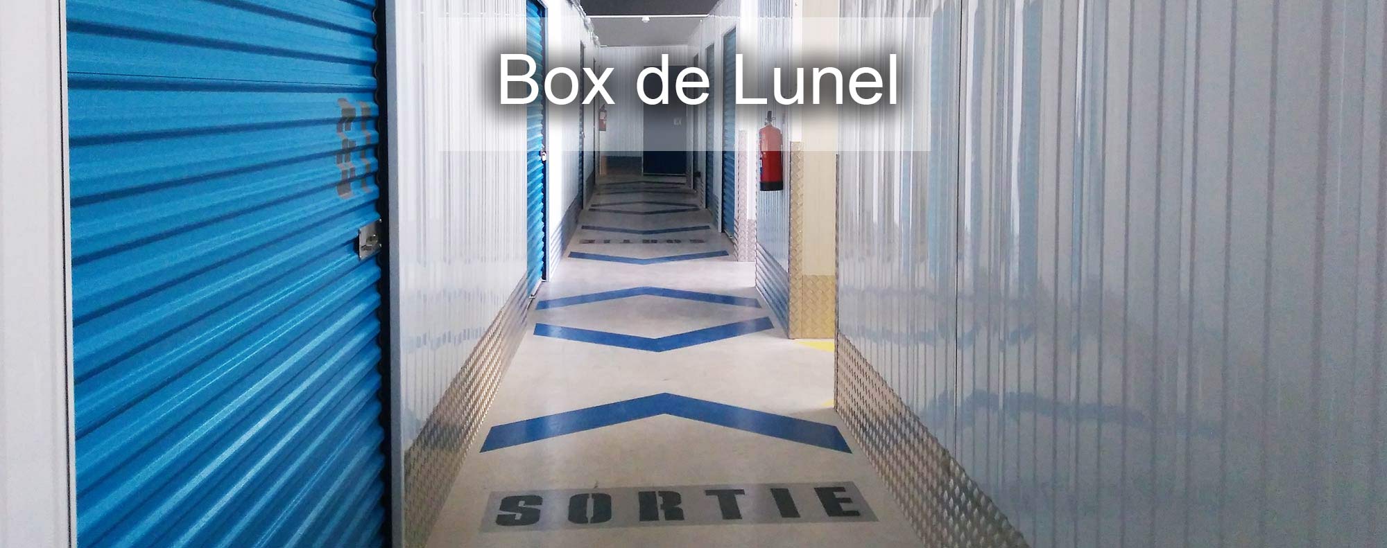 In the box