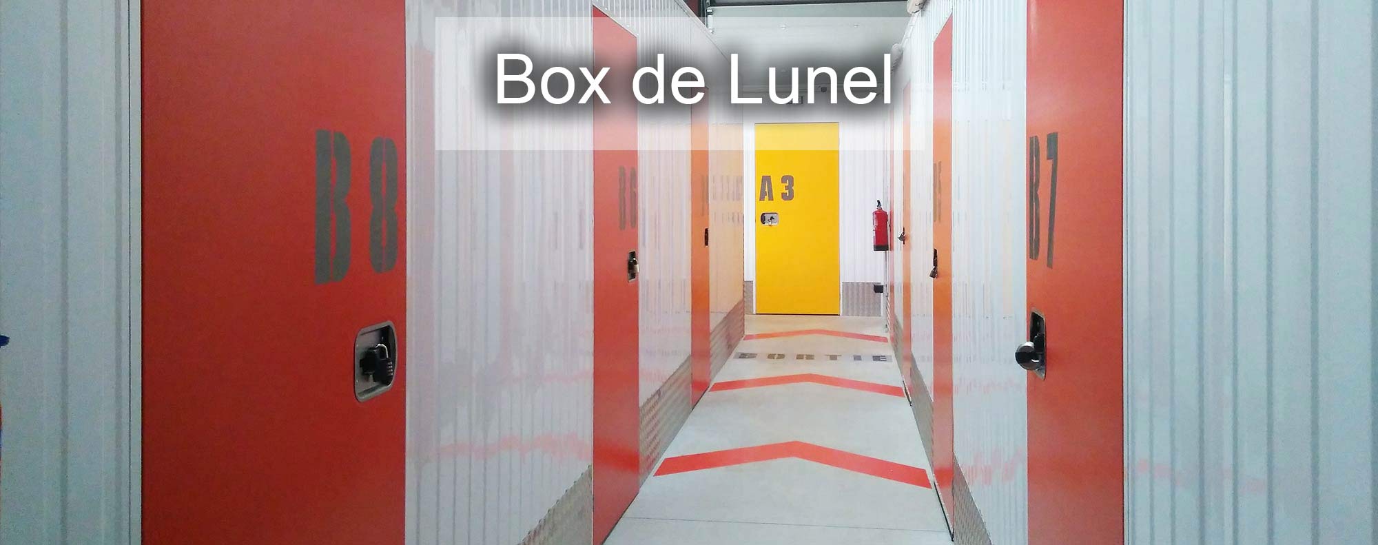 In the box